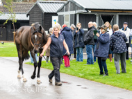 WG031025-48 - Jaramillo